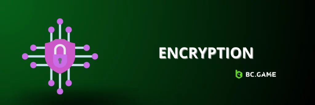 Encryption at BC Game